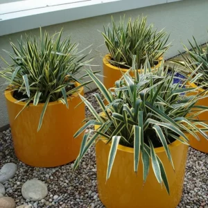 outdoor flower pot tree flower pot waiting chair seat shopping mall outdoor special design leisure creative leisure furniture - Image 3