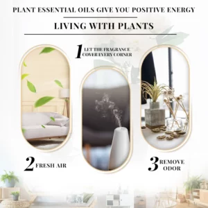 EVOKE OCCU 10mL Essential Oil, Lavender Jasmine Rose Vanilla Pure Natural Oil for Diffuser Humidifier Massage Candle Soap Making - Image 4
