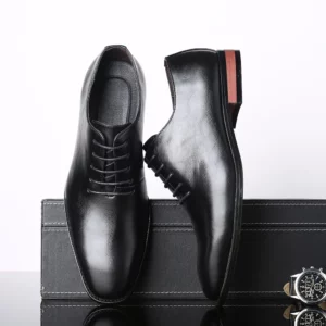2025 New Autumn Men's Business Formal Wear Shoes Fashion Casual Leather Lace-Up Dress Shoes Soft Bottom Flat Designer Shoes - Image 3