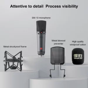 TAKSTAR SM-10 Unidirectional Professional Recording Microphone Home Studio Voice Recording Equipment Condenser XLR Microphone - Image 5