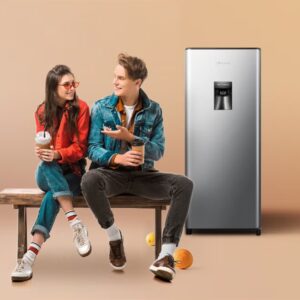 233L Gross/ 177L Net Capacity, Single Door Compact Refrigerator With Water Dispenser RR233N4WSU Silver - Image 7