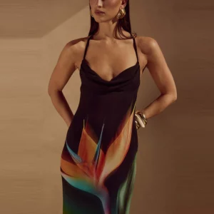 Show Style Sleeveless Halter Evening Dress Vintage Printed Elegant Women Commute Long Dress Summer New Backless Slim Party Dress - Image 3