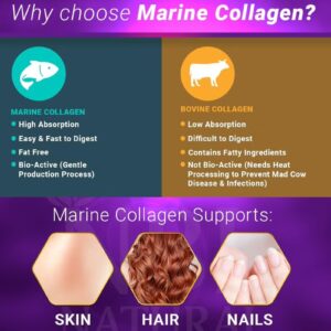 Hydrolysed Marine Collagen 2500 Mg With Hyaluronic Acid, Resveratrol, Biotin, Selenium And Vitamin C, 120 Tablets - Image 5