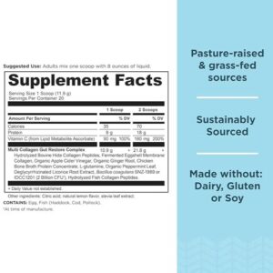 Collagen Powder Protein, Multi Collagen Protein, Hydrolyzed Collagen Peptides Supports Skin and Nails, Joint Supplement (Gut Restore, 20 Servings) - Image 7