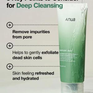 Heartleaf Quercetinol Pore Deep Cleansing Foam White 150ml - Image 4