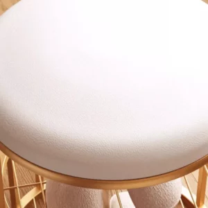 Light Luxury Foot Stool Two-Layers Hallway Ottoman with Comfortable Cushion Stable Load-Bearing Changing Shoe Stool - Image 5
