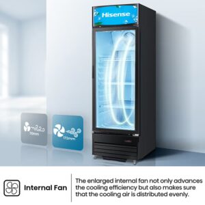 Hisense Showcase 396L Gross Capacity, Single Door 396 L 220 W FL-51WC Multicolor - Image 5