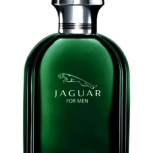 Jaguar EDT For Men 100ml - Image 3