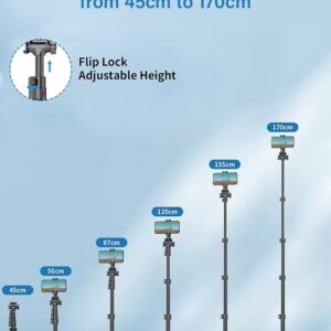 TONEOF 170cm Phone Tripod, Portable Phone Stand Tripod for Travel/Video Recording, Long Distance Remote Control, with 1/4'' Screw and Detachable phone clip, Compatible with iPhone/Android/Camera with 1/4'' Hole - Image 4
