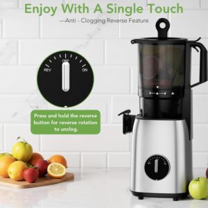 Cold Press Juicer with Stainless Steel Base, 5.4 Inch Wide Feed Chute, Juicer Machines For Whole Fruits & Vegetables, Slow Masticating High Yield Juice Makers - Image 2