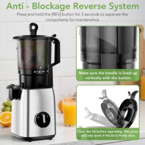 Cold Press Juicer with Stainless Steel Base, 5.4 Inch Wide Feed Chute, Juicer Machines For Whole Fruits & Vegetables, Slow Masticating High Yield Juice Makers - Image 4