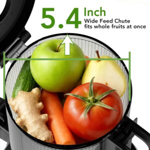 Cold Press Juicer with Stainless Steel Base, 5.4 Inch Wide Feed Chute, Juicer Machines For Whole Fruits & Vegetables, Slow Masticating High Yield Juice Makers - Image 5