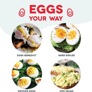 Dash Rapid Egg Cooker - Boiler, Poacher & Steamer - Includes Measuring & Recipe Guide - Dishwasher Safe - BPA Free - Holds 7 Eggs, Aqua - Image 3