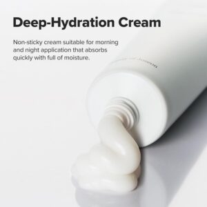 Beauty of Joseon Dynasty Cream Hydrating Face Moisturizer for Dry, Sensitive Skin, Korean Skincare for Men and Women 100ml, 3.38 fl.oz - Image 6