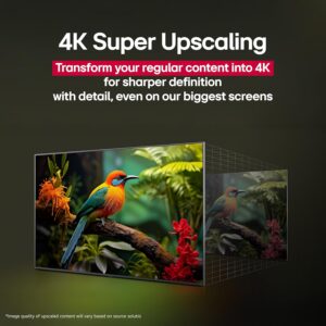 LG 48-Inch Class OLED evo AI Super Upscaling 4K C5 Series Smart TV w/Dolby Atmos & Vision, HDR10, Filmmaker Mode, Wow Orchestra, Alexa Built-in (OLED48C5PUA, 2025) - Image 5