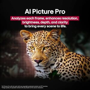 LG 48-Inch Class OLED evo AI Super Upscaling 4K C5 Series Smart TV w/Dolby Atmos & Vision, HDR10, Filmmaker Mode, Wow Orchestra, Alexa Built-in (OLED48C5PUA, 2025) - Image 6