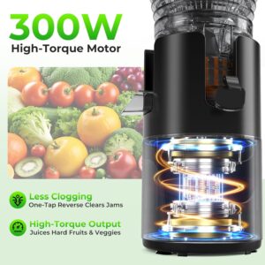 Juicer Machines with 5.8" Large Feed Chute, Slow Masticating Cold Press Juicer for Whole Fruits & Vegetables, Easy to Clean Design, High Juice Yield Home Juicer for Daily Wellness - Image 3