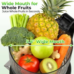 Juicer Machines with 5.8" Large Feed Chute, Slow Masticating Cold Press Juicer for Whole Fruits & Vegetables, Easy to Clean Design, High Juice Yield Home Juicer for Daily Wellness - Image 7