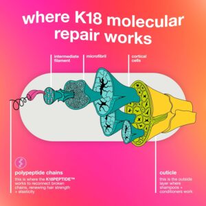 K18 Leave-In Molecular Repair Hair Mask, Patented, Lasting Repair For Dry, Frizzy, Damaged Hair, Reverse Damage In 4 Minutes From Bleach, Color, Chemical Services + Heat - Image 6