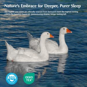 Pacific Coast Goose Feather Down Fiber Comforters King Size, Extra Fluffy White Duvet Insert, Ultra-Soft, Breathable, All Season Hotel Luxury Bedding Comforters, 8 Corner & Center Loops (106"x90") - Image 7