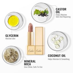 Oulac Metallic Lipstick for Women with Lightweight Hydrating Formula, Metallic Golden Nude Lip Stick, Vegan Beauty, Full Coverage Lip Makeup, Christmas Gifts for Women, Sahara Gold(10) - Image 5