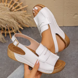 Summer Fashion Women Peep Toe Buckle Strap Plus Size Shoes for Women 36-43 Platform Wedge Comfortable Non-slip Sandals - Image 5