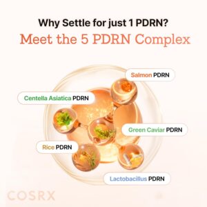 COSRX 5-PDRN Complex Collagen Gel Eye Patches for the look of Dark Circles and Uneven tone, Radiance Care for Tired Under-Eyes with Salmon DNA & Vitamin C, Korean Skincare, 60 Under Eye Patches - Image 5
