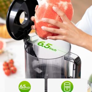 Cold Press Juicer Machine, 6.5" Large Feed Chute Masticating Extractor, Easy to Clean for Whole Fruits & Vegetables, High Yield - Image 3