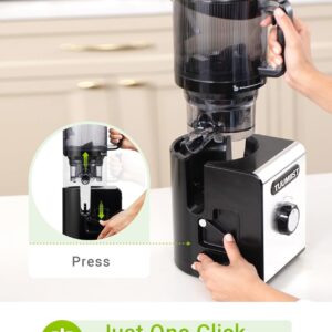Cold Press Juicer Machine, 6.5" Large Feed Chute Masticating Extractor, Easy to Clean for Whole Fruits & Vegetables, High Yield - Image 7