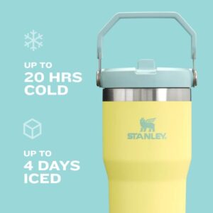 Stanley IceFlow 2.0 Flip Straw Tumbler with Handle 30 oz | Twist On Lid and Flip Up Straw | Leak Resistant Water Bottle | Insulated Stainless Steel | BPA-Free | Dried Pine - Image 6