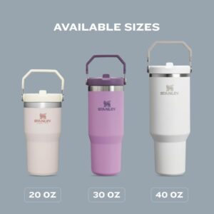 Stanley IceFlow 2.0 Flip Straw Tumbler with Handle 30 oz | Twist On Lid and Flip Up Straw | Leak Resistant Water Bottle | Insulated Stainless Steel | BPA-Free | Dried Pine - Image 8