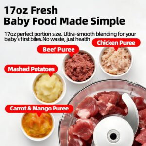 Blenders and Food Processor Combo for Kitchen, 13Pcs 4 in 1 Blender for Shakes and Smoothies,17oz Meat Grinder baby food&10oz Spice Grinder 42oz Family&24oz to-go Cups,Dishwasher Safe,Silver - Image 6