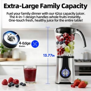 Blenders and Food Processor Combo for Kitchen, 13Pcs 4 in 1 Blender for Shakes and Smoothies,17oz Meat Grinder baby food&10oz Spice Grinder 42oz Family&24oz to-go Cups,Dishwasher Safe,Silver - Image 9