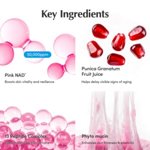 EQQUALBERRY NAD+ Peptide Boosting Cream – NAD+ 5% & 13 Peptides Anti-Aging Korean Skincare Face & Body Cream | Firming & Lifting Pink Neck Cream for Sagging Skin (1.69 fl.oz / 50ml) - Image 6