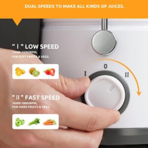 GDOR 800W Juicer Machine, 3” Wide Feed Chute, Dual-Speed Centrifugal Juicer for Fruits & Vegetables, Anti-Drip Function, BPA-Free, Easy to Clean with Brush, White - Image 5