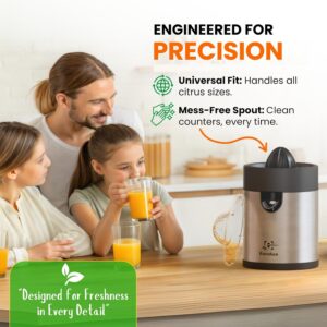 Eurolux Electric Orange Juicer, Sleek Effortless Citrus Juice Squeezer for Lemon, Lime, Grapefruit | Powerful Motor, Easy to Clean, Removable Dishwasher-Safe Parts - Image 3