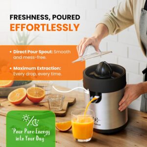 Eurolux Electric Orange Juicer, Sleek Effortless Citrus Juice Squeezer for Lemon, Lime, Grapefruit | Powerful Motor, Easy to Clean, Removable Dishwasher-Safe Parts - Image 6