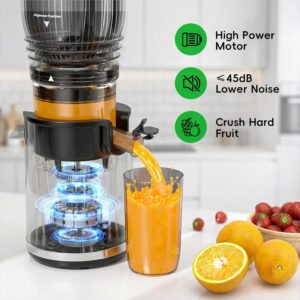 Juicer Machines, Cold Press Juicer with 5.8" Wide Feed Chute, 300W Slow Masticating Juicer for Whole Fruits & Vegetables, High Juice Yield, Easy to Clean, BPA Free Juice Extractor Machine - Image 5