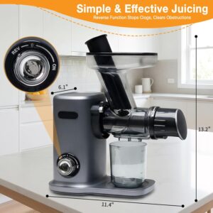 NEWBULIG Cold Press Juicer, Slow Masticating Juicer with 5.9" Large Feed Chute for Whole Vegetables & Fruits, Reverse Function & Dishwasher Safe Parts, High Juice Yield, Silver - Image 3