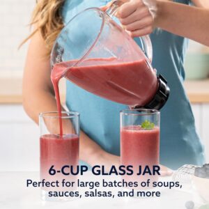Oster Classic Series 16-Speed Blender with Food Chopper & 6-Cup Glass Jar, Countertop Kitchen Blender, Brushed Nickel - Image 5