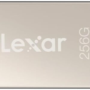 Lexar D40E 256GB Dual USB 3.2 Gen 1 Type-C Jump Drive, USB-C Flash Metal Housing Swivel Design Thumb Drive(Champagne Silver) - Image 8