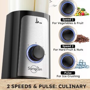 SANGCON 5 in 1 Blender and Food Processor Combo for Kitchen, Small Electric Food Chopper for Meat and Vegetable, 350W High Speed Blenders with 2 Speeds and Pulse for Smoothies and Shakes - Image 8