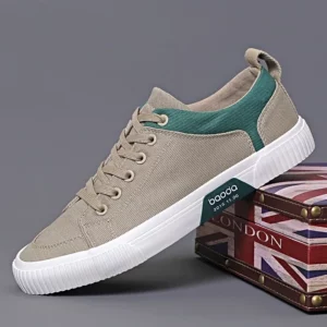 Autumn Mens Casual Shoes Cloth Lace-up Flat Shoes 2026 New Male Sneakers Luxury Design Canvas Shoes for Men Zapatillas Hombre - Image 2