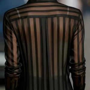 Sheer Vertical Stripe Button Down Shirt Long Sleeve Collared Blouse For Women Office Top - Image 2
