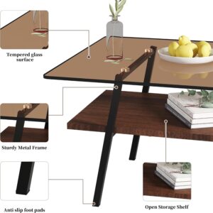 Modern Glass Coffee Table, Mid Century Small Coffee Table, Coffee Table for Living Room with Wood Shelves for Bedroom Living Room Reception Office - Image 7