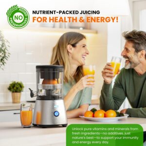 Eurolux Electric Citrus Juicer Stainless Steel | Premium Hands-Free One-Touch Orange Juice Squeezer for Oranges, Lemons, and Limes | Quiet Operation, Easy to Clean, Countertop Small Kitchen Appliance - Image 4