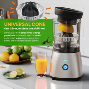 Eurolux Electric Citrus Juicer Stainless Steel | Premium Hands-Free One-Touch Orange Juice Squeezer for Oranges, Lemons, and Limes | Quiet Operation, Easy to Clean, Countertop Small Kitchen Appliance - Image 5