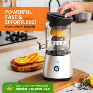 Eurolux Electric Citrus Juicer Stainless Steel | Premium Hands-Free One-Touch Orange Juice Squeezer for Oranges, Lemons, and Limes | Quiet Operation, Easy to Clean, Countertop Small Kitchen Appliance - Image 7