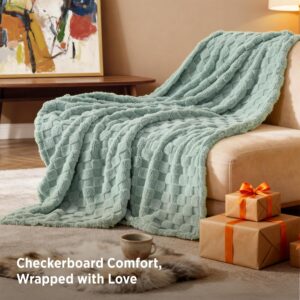 Bedsure Checkered Fleece Throw Blanket,Cute Home Decor,Sage Green,50"×60" Couch/Sofa/Bed/Office, Lightweight Design, Soft Cozy Cute，All Season, Gifts for Women Girls, Bedroom Home Decor - Image 4