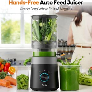 Aeitto 3-in-1 Juicer Machines, 6.0" Wide Mouth Hopper, Easy to Clean Juice, Sorbet & Nut Milk | With Recipe Cold Press Juicer | 100oz Capacity | Easy to Assembly & Reverse Function | With Pusher - Image 2